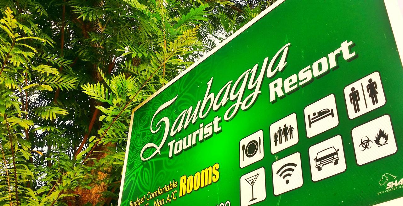 Saubagya Inn Anuradhapura Exterior foto
